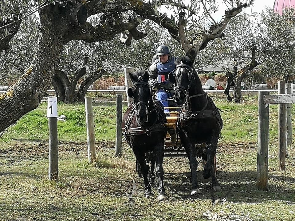 Resultados 1&ordf; Fase del Campeonato Navarro de Enganches 2018 en el Club Deportivo Enganches Finca &quot;La Pinturita&quot;